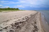 Idyllic apartment 10 minutes to the beach 巴爾克爾斯比住宿飯店