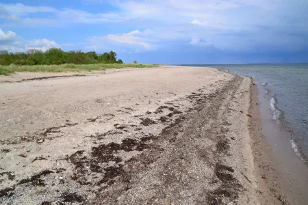 Idyllic apartment 10 minutes to the beach Отели рядом с достопримечательностью «CARLS»