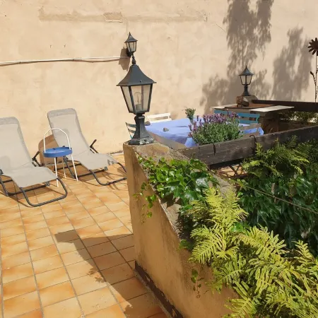 On vacation with the dog? House with enclosed garden in the center of Roquebrun.