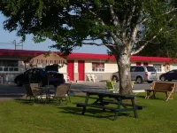 The Silver Birch Motel