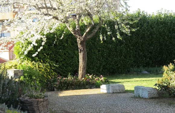 聖瑪麗亞太陽旅館