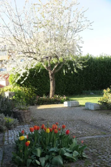 Solar de Santa Maria Hotels in Braganca