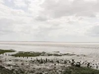 Ashtree Cottage Hotel a Skeffling