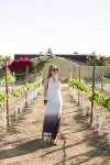 Sol del Valle