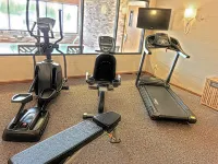 Best Western Falcon Plaza - palestra