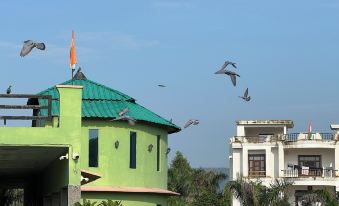 Green Valley Sariska