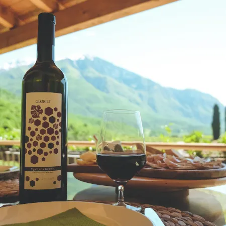 Agritur Casteller