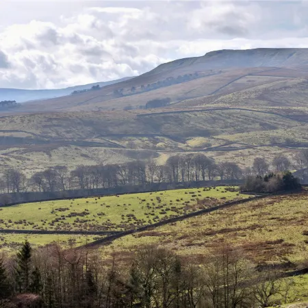 Dales Barn Top