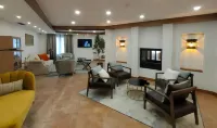 4US RIOJA WINE HOTEL Hotels in Elciego