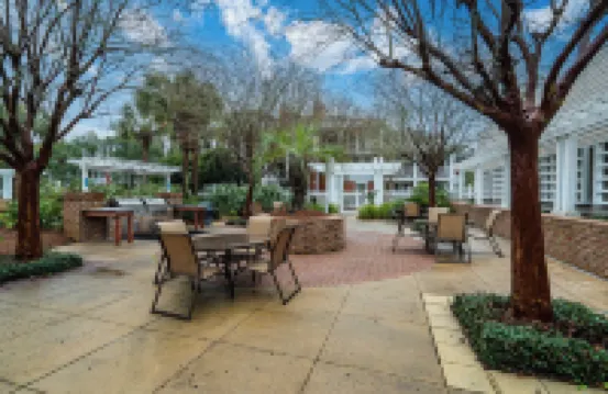 貝殼洗牌在領航員之家