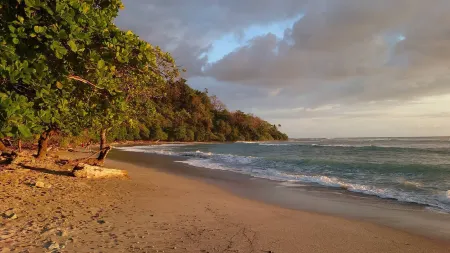 Villaspuravida - Guapinol