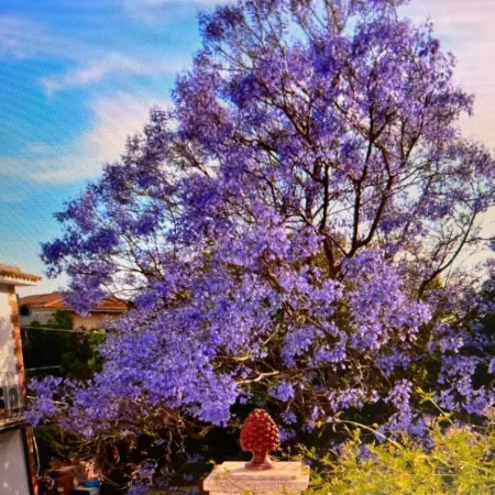 B&B Garden Grazia