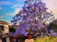 B&B Garden Grazia Hotel in zona Via Camillo Benso Conte di Cavour