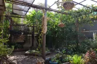 Cozy 1-bedroom apartment with a beautiful garden in Be'er Sheva with WiFi, AC