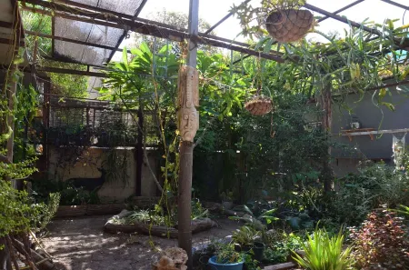 Cozy 1-bedroom apartment with a beautiful garden in Be'er Sheva with WiFi, AC Отели в г. Ezor Be'er Sheva