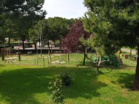 Relaxation and sea near Cerrano Hotel a Pineto