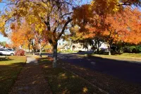 Modern Merced Haven/ By Merced College and UC Merced