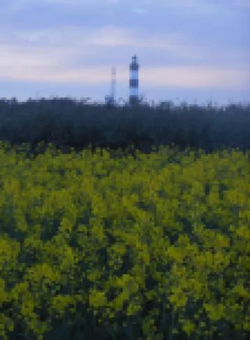 La Patelle Hotels in Saint-Denis-d'Oleron