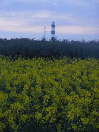 La Patelle Отели рядом с достопримечательностью «Location Mobil Home 3 chambres 5 pers. max»