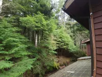 Charming 2-bedroom, fully furnished townhome in Juneau, sleeps up to 6