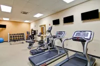 Hilton Garden Inn Ottawa Airport - Gym