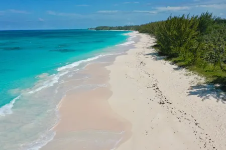 The Better Life & Cottage 5 Bedroom Home