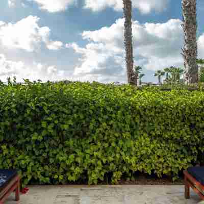 Annabelle Hotel Exterior