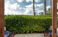 Annabelle Hotels in Paphos