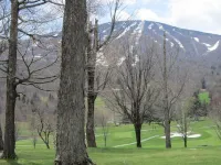 Charming 2-bedroom Stratton Mountain Condo with shuttle service Hotels in Stratton Mountain