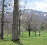Charming 2-bedroom Stratton Mountain Condo with shuttle service