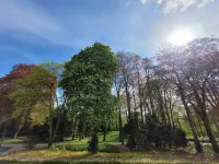 Tolle Wohnung mit Balkon und Blick auf den Emssee - Keine 300 m zum Marktplatz! Hotels in Warendorf