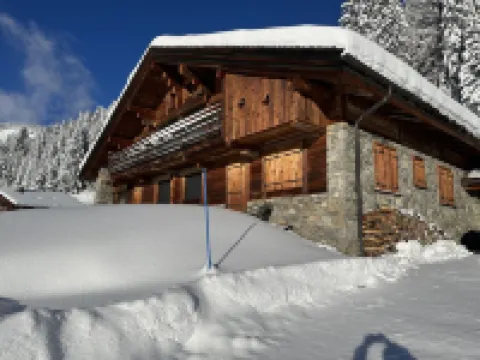 Superbe Chalet Proche Megève 阿爾利河畔普拉茲酒店