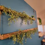 Spacious Master Bedroom with Private Jacuzzi & Walk-in Closet