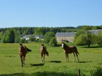 Holiday home in Cetturu with sauna - Homestays