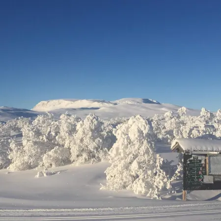 4 person holiday home in GEILO-By Traum