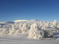 4 person holiday home in GEILO-By Traum - Apartments