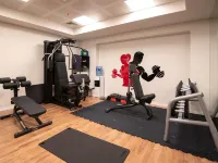 Ibis Baku City - Gym