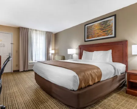 Quality Inn Cheraw Hotels in Cheraw