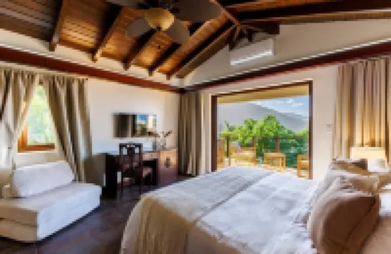 Myall Tortola