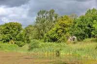 Pet-friendly Cottage in Belsay, No Deposit