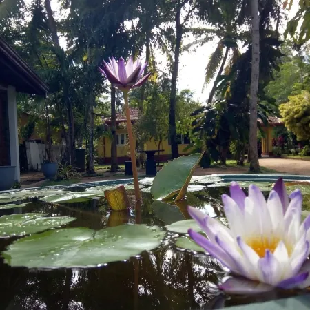 Shenya Villa