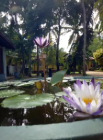 Shenya Villa
