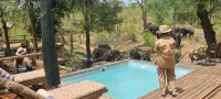Khanya Tented Camp - Pools