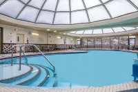 DoubleTree by Hilton Hotel & Suites Pittsburgh Downtown - Yüzme Havuzu