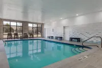 温莎希爾頓歡朋套房酒店 - 泳池