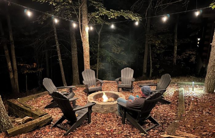 Firefly 3BR/3BA cabin with amazing views!