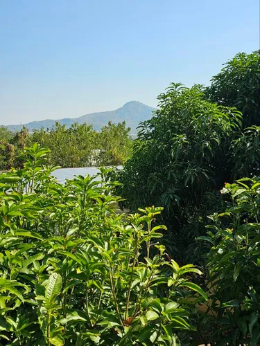 รูปภาพของFriendly, artsy private rooms near mountains