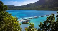 Outpost Beach Hostel - Adults Only