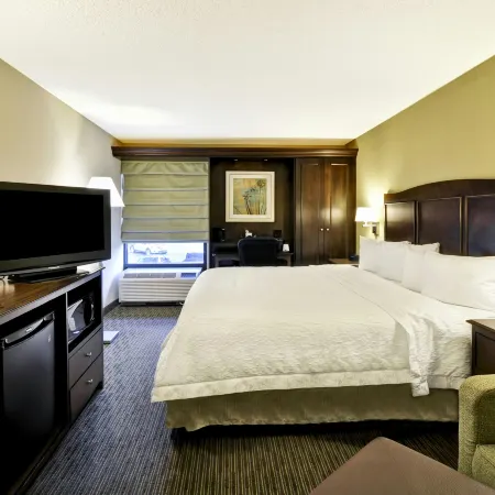 Hampton Inn Kansas City-Airport