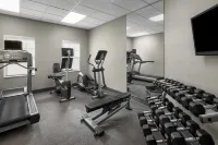 Residence Inn Tampa Oldsmar - Træningscentre